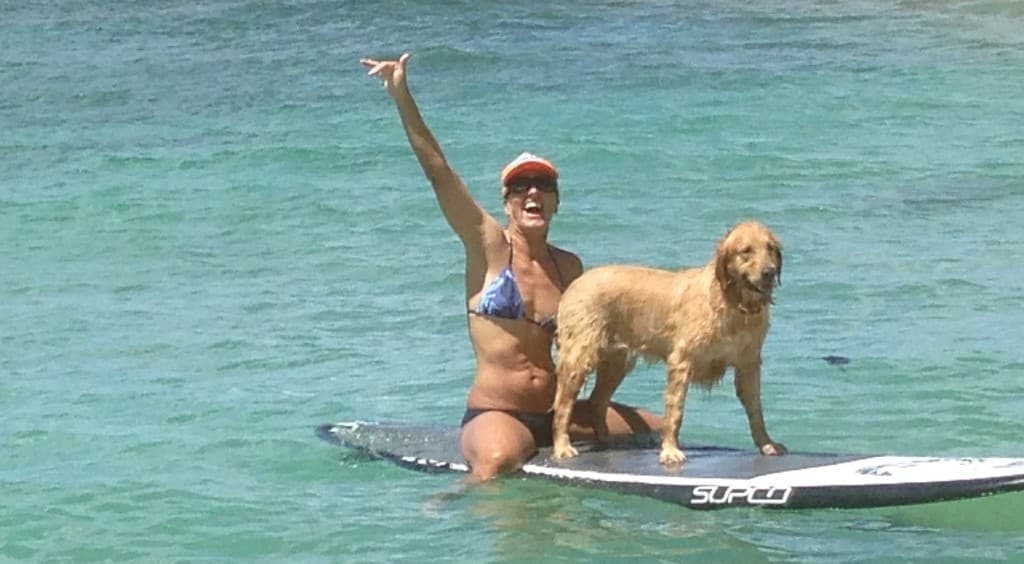 North Shore Surf Lessons with Suzy and her golden retriever
