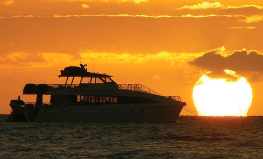 Pac Whale Foundation catamaran at sunset