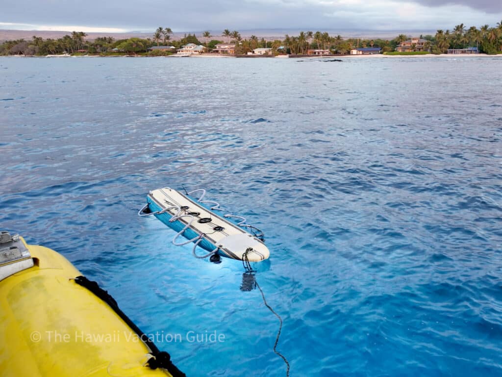 Puako Dive Adventures Review manta ray tour